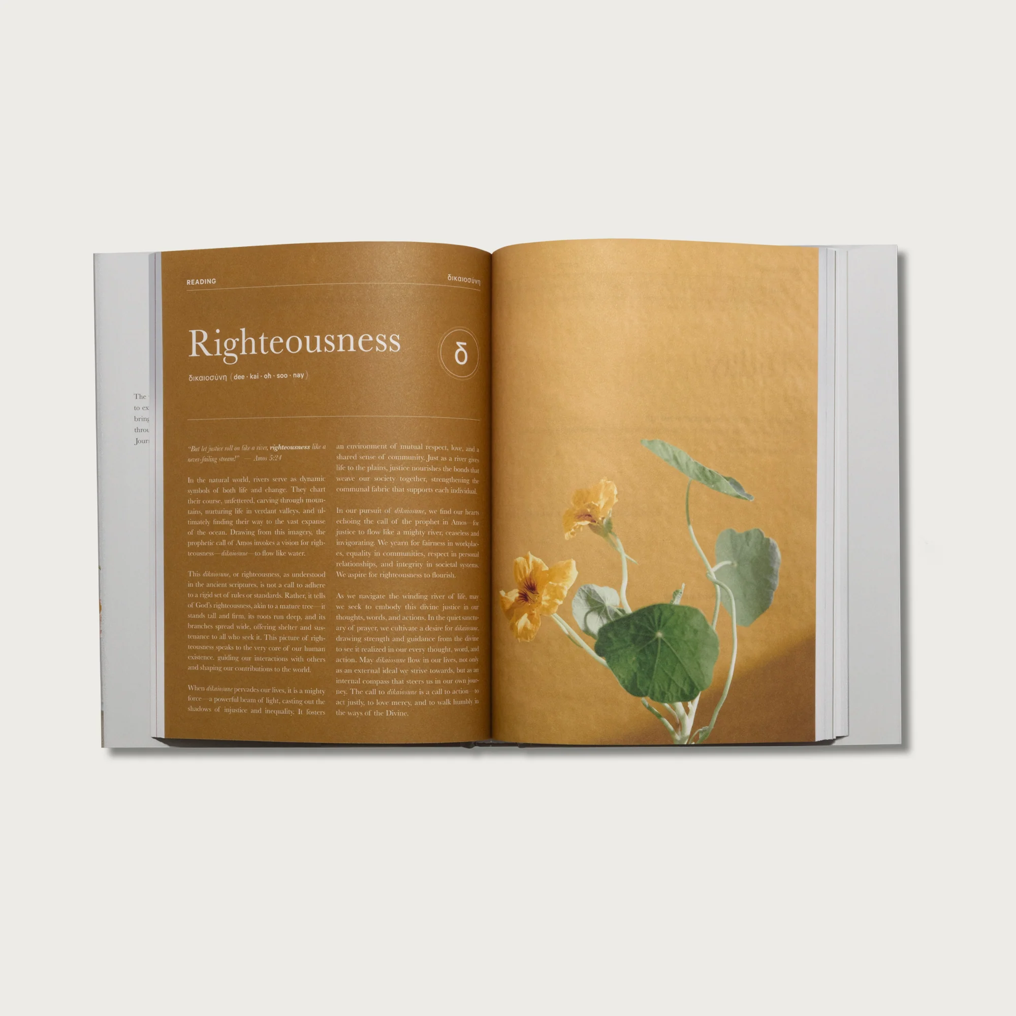 The Prayer Journal - Image 3