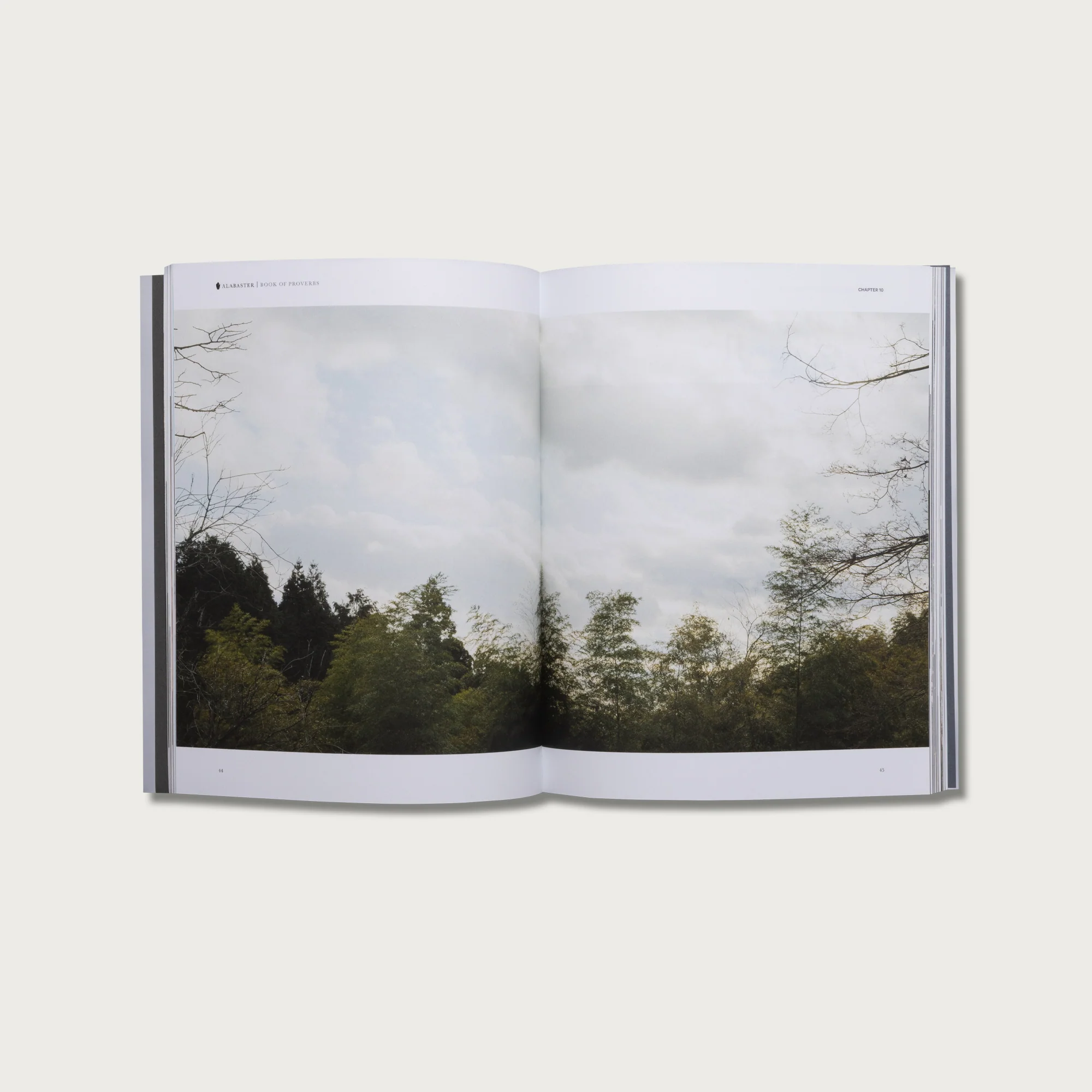 Wisdom Collection - Image 7