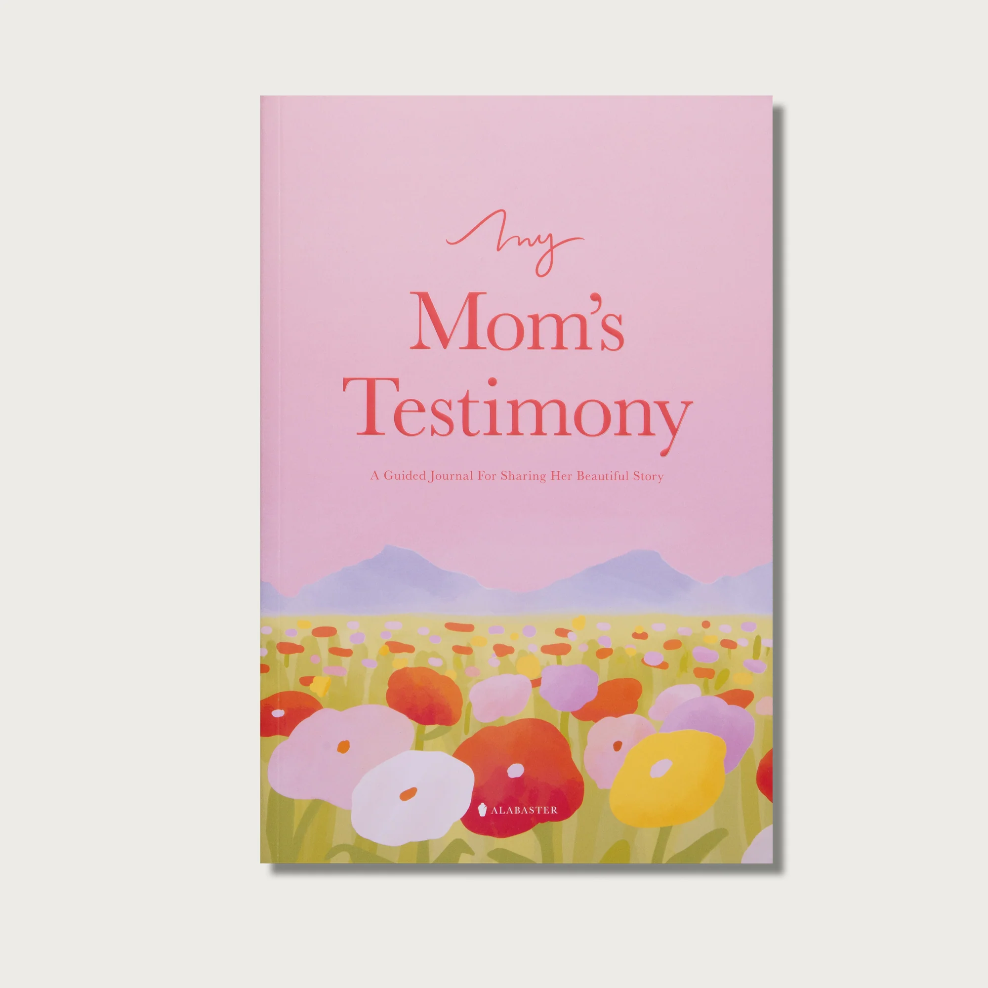 Testimonial Gift Bundle - Image 3