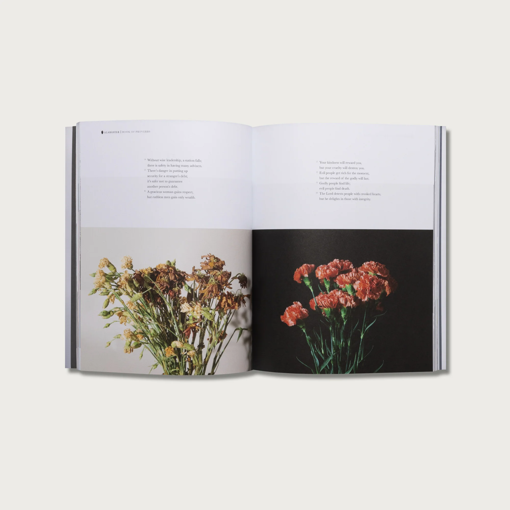 Wisdom Collection - Image 6